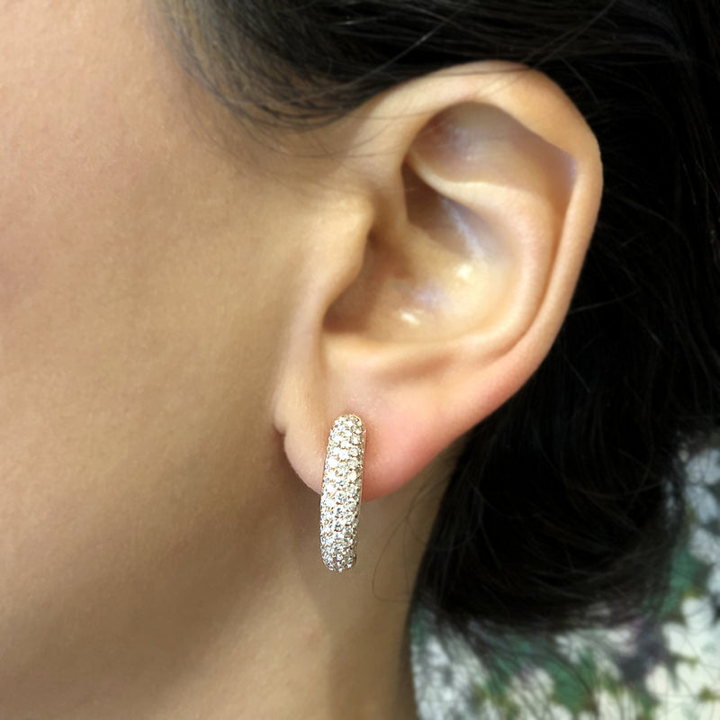 Diamond Gold Oval Hoop Earrings